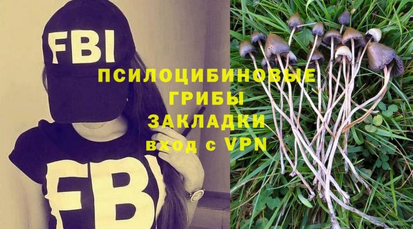 2c-b Красноперекопск