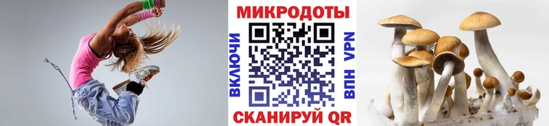 Галлюциногенные грибы мицелий  shop телеграм  Красково 
